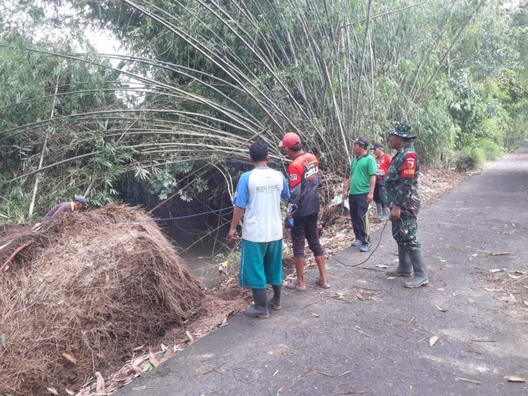 Respon Cepat, Babinsa dan Pemdes Sidorejo Bersama Warga Bersihkan Bambu Tumbang Akibat Angin Kencang