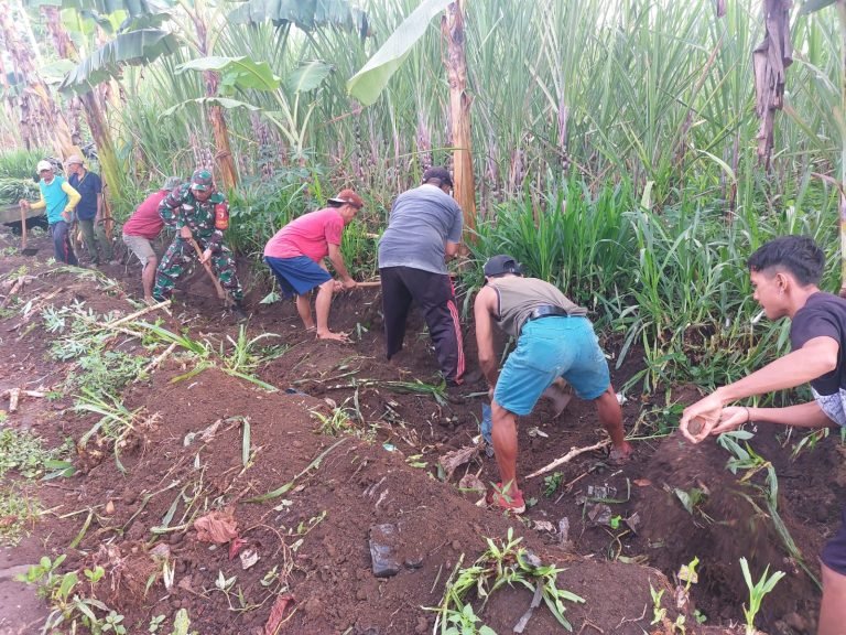 Gotong Royong, Babinsa Kedawung Bersama Warga Kerja Bakti Normalisasi Selokan