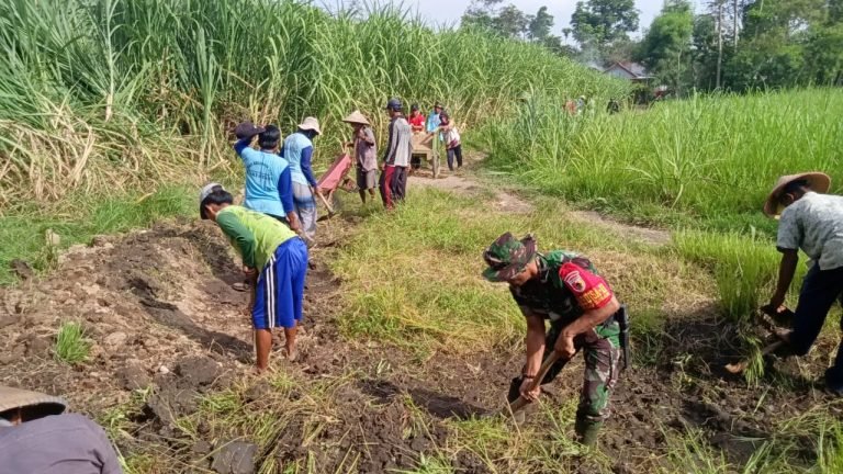 Babinsa Darungan, Bersama Petani Kerja Bakti Pembenahan Jalan Menuju Lahan Pertanian