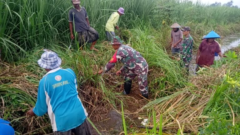 Babinsa Krai, Bersama Warga Dusun Kebonan Kerja Bakti Normalisasi Aliran Irigasi