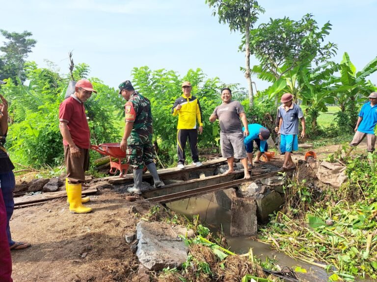 Bersama Poktan Usaha Tani, Babinsa Sukosari Karya Bakti Pembenahan Jembatan Jalan Menuju Lahan Pertanian