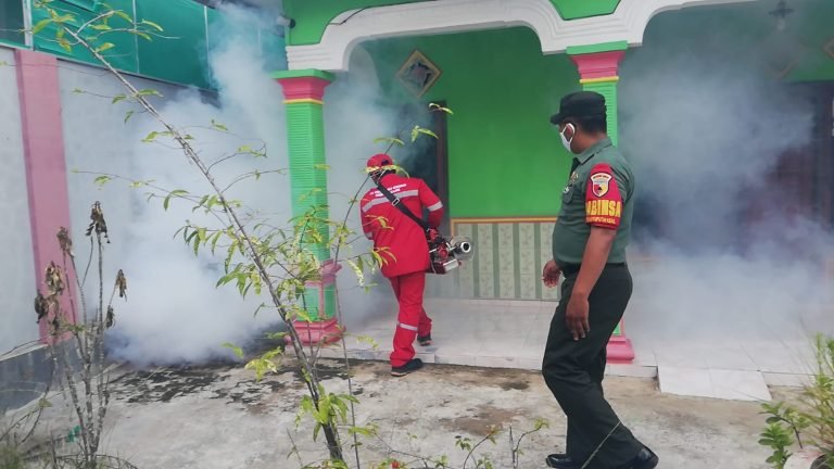 Basmi Tempat Sarang Nyamuk, Babinsa Banyuputih Kidul Dampingi Kegiatan Fogging