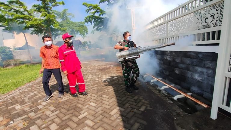 Cegah DBD, Babinsa Tekung Laksanakan Pendampingan Kegiatan Fogging di Wilayah Binaan