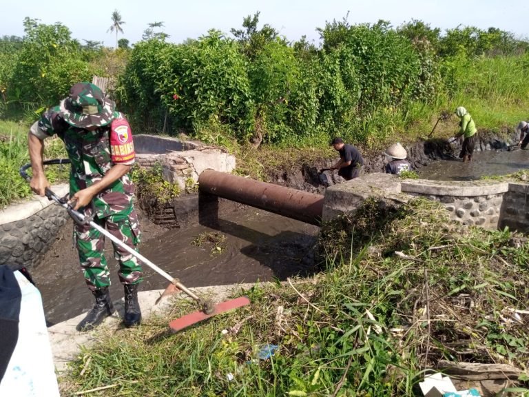 Babinsa Sumbersari, Bersama Warga Gotong Royong Pembersihan Aliran Irigasi “Dam Kali Singo”