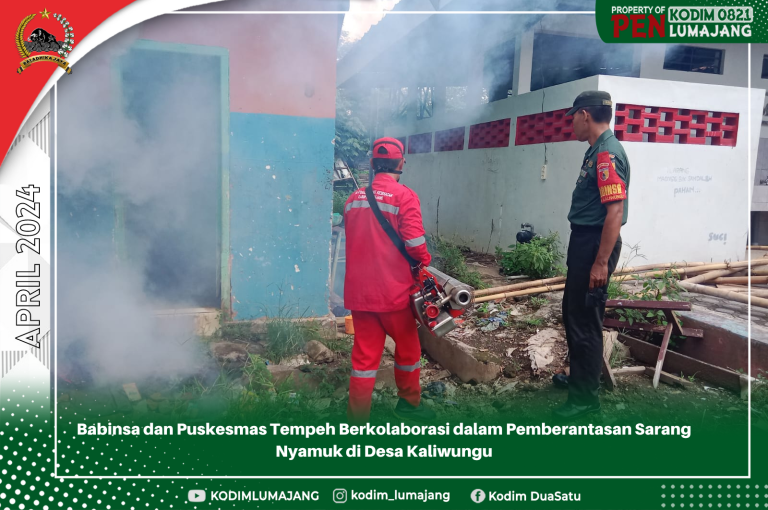 Babinsa dan Puskesmas Tempeh Berkolaborasi dalam Pemberantasan Sarang Nyamuk di Desa Kaliwungu