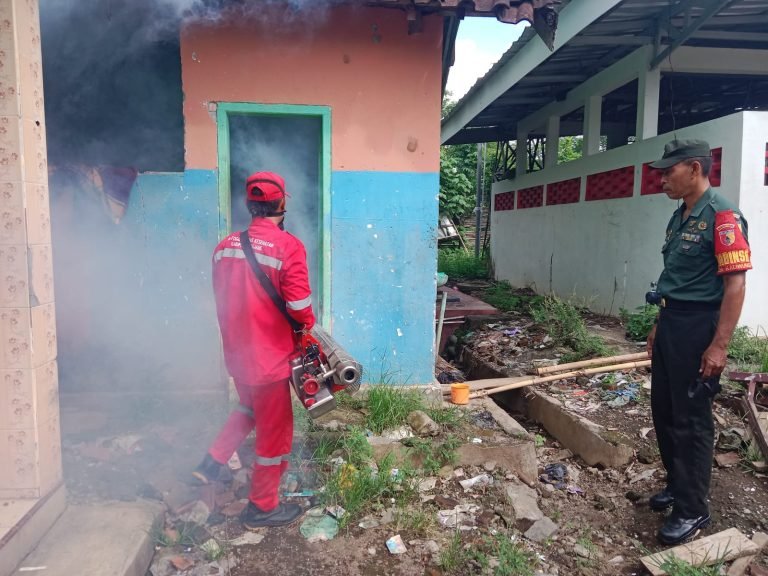 Babinsa dan Puskesmas Tempeh Berkolaborasi dalam Pemberantasan Sarang Nyamuk di Desa Kaliwungu