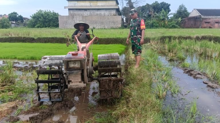Babinsa Pulo, Andalkan Teknologi Hand Traktor dalam Pendampingan Pertanian di Wilayah