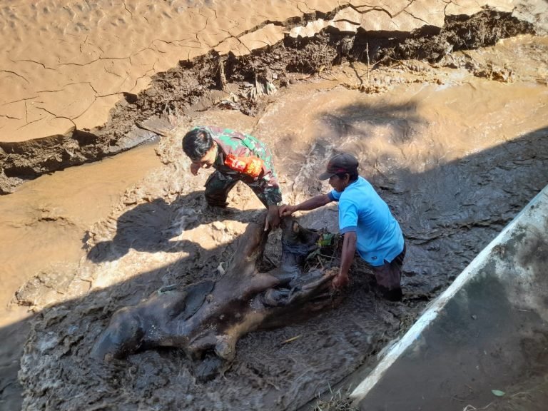 Dampak Banjir, Babinsa Mojosari Bersama Warga Kerja Bakti Pembersihan Material Lumpur dan Perawatan Dam Jurang Dawir
