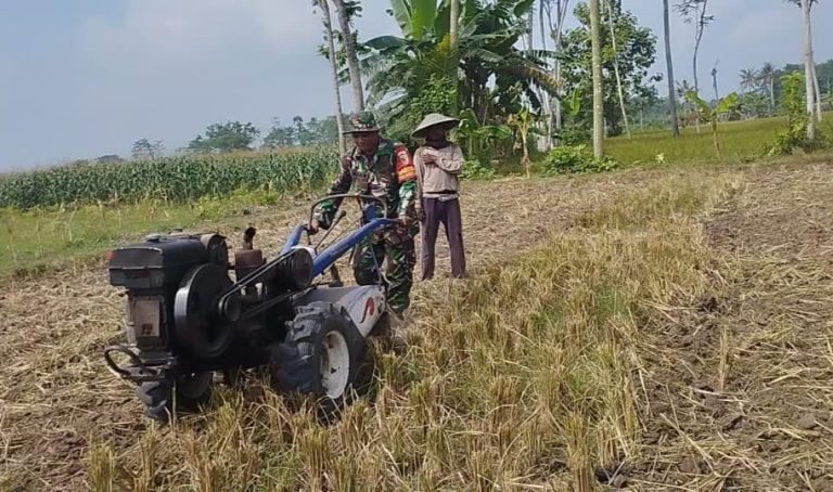 Babinsa Wonogriyo Bantu Petani Tingkatkan Produksi dengan Pengolahan Lahan
