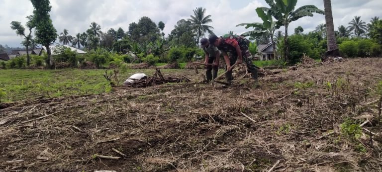 Babinsa Sumbermujur Siap Mendukung Produktivitas Pertanian Melalui Pendampingan Penyiapan Lahan Jagung