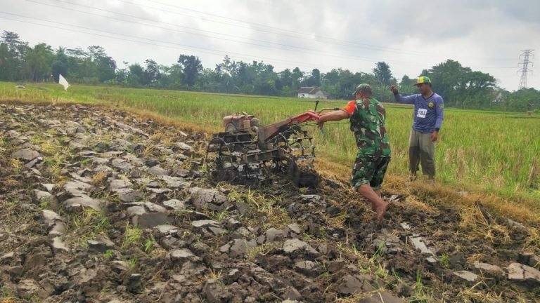 Dukung Ketahanan Pangan Lokal, Babinsa Jatiroto Dampingi Pengolahan Lahan Kelompok Tani “Tani Maju”