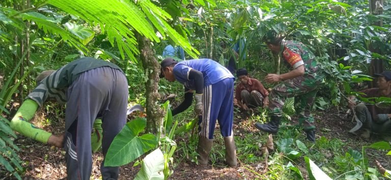 Babinsa Kenongo Bantu Petani Lakukan Pembersihan Kebun Kopi untuk Tingkatkan Produktivitas