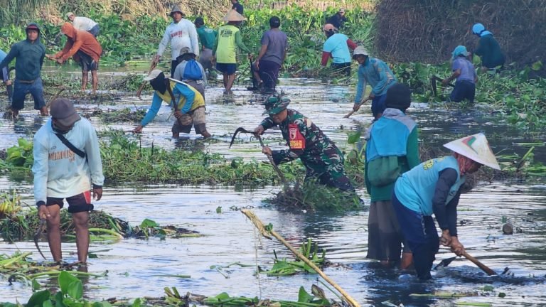 BabinsaWotgalih Bersama Warga Bersihkan Sungai Pancer Gedang Klutuk dari Enceng Gondokdan Rumput Liar