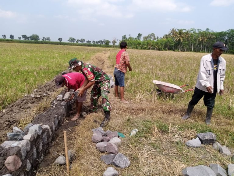 Giatkan Pendampingan, Babinsa Sumbersari Bersama Warga Kelompok Tani Margo Rukun Pembangunan Irigasi