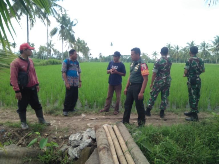 Pendampingan Pertanian, Pencarian Sumber Mata Air untuk Pengairan Lahan Sawah di Dusun Jerukan
