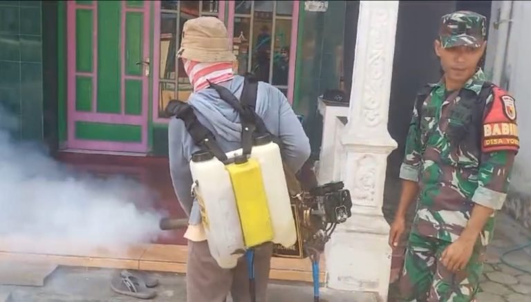 Pentingnya 3M dalam Pencegahan Demam Berdarah: Babinsa Yosowilangun Lor Berikan Edukasi