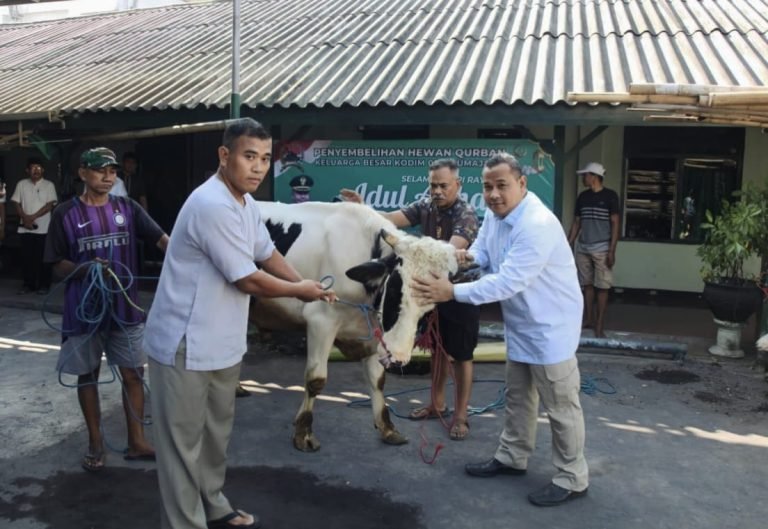 Peringatan Idul Adha 1445 H, Kodim 0821 Lumajang Bagikan Daging Kurban kepada Masyarakat