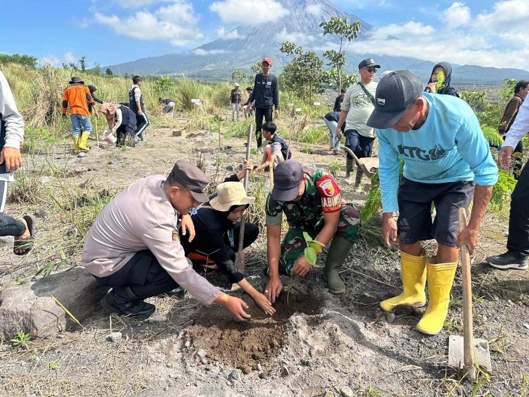 Semangat Hijaukan Lahan, Babinsa dan Stakeholder Supiturang Bersama Mahasiswa KKN Tanam Pohon untuk Lahan Erupsi Semeru