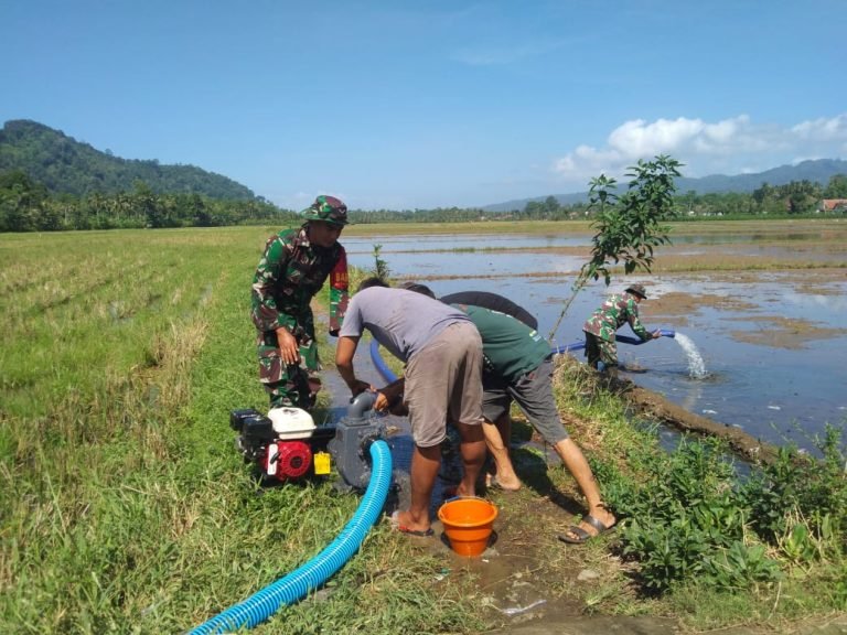 Babinsa Tempursari Dukung Program Ketahanan Pangan dengan Pendampingan Pompanisasi