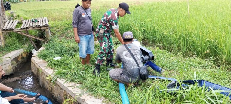 Babinsa Koramil 0821/03 Senduro Dampingi Petani Desa Sarikemuning dalam Pemanfaatan Pompanisasi untuk Pengairan Lahan Padi