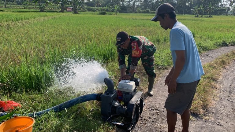 Optimalisasi Irigasi: Babinsa Nguter Dampingi Kegiatan Pompanisasi Pengairan di Lahan Pertanian