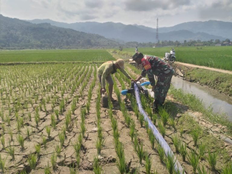 Babinsa Tempursari Optimalkan Bantuan Mesin Pompa Air untuk Pertanian.