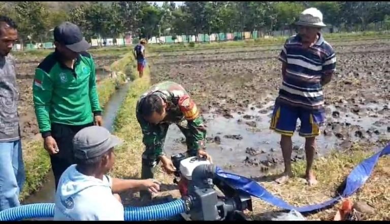 BabinsaCondro, Dampingi Pengairan Lahan Sawah Petani di Poktan Jaya Tani
