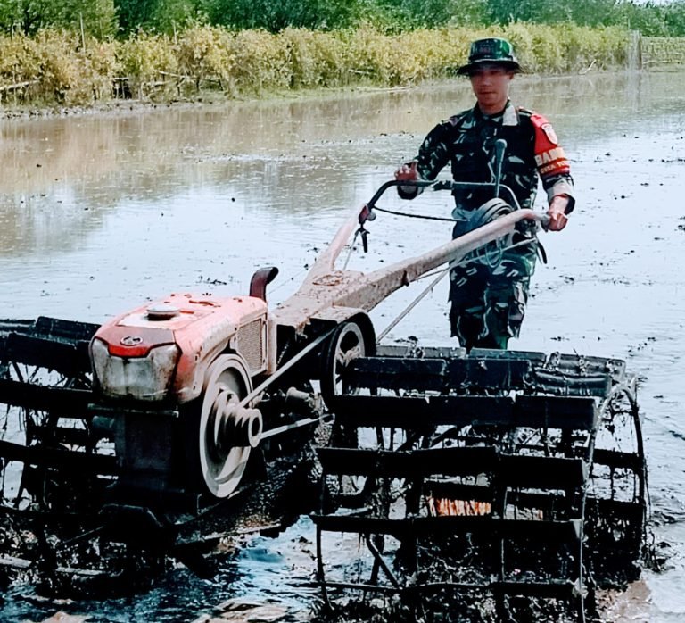 Babinsa Yosowilangun Lor Lakukan Pendampingan Pengolahan Lahan Pertanian, Dorong Ketahanan Pangan di Wilayah Binaan