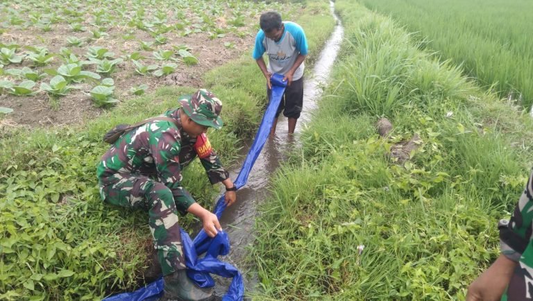 Kolaborasi Babinsa dan Babinkamtibmas Mojosari, Wujudkan Ketahanan Pangan dengan Pendampingan Pompanisasi di Sumbersuko