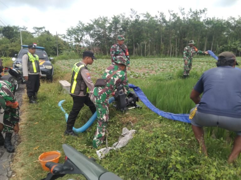 Kolaborasi Babinsa dan Babinkamtibmas Mojosari, Wujudkan Ketahanan Pangan dengan Pendampingan Pompanisasi di Sumbersuko