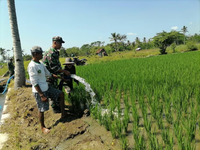 Kolaborasi TNI, Hippa dan Petani: Wujudkan Pendampingan Program Pompanisasi di Karanganom