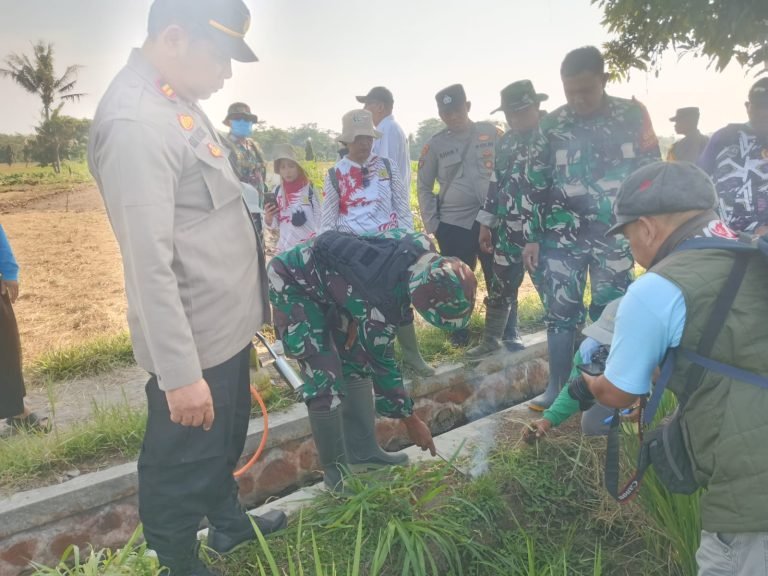 Pengendalian Organisme Pengganggu Tanaman (OPT): Upaya Efektif Meningkatkan Hasil Panen di Kecamatan Sumbersuko Pengendalian Organisme Pengganggu Tanaman (OPT): Upaya Efektif Meningkatkan Hasil Panen di Kecamatan Sumbersuko