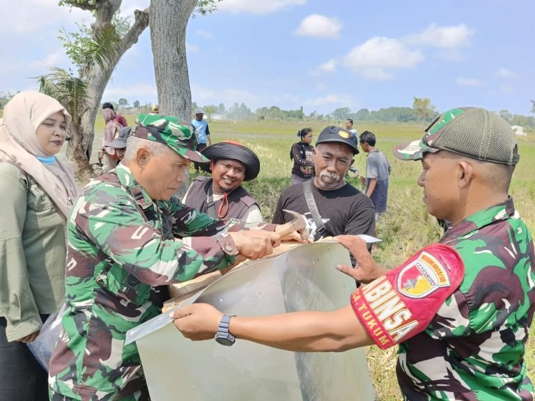 Pendampingan TNI untuk Petani: Rubuha Jadi Solusi Atasi Hama Tikus di Tekung