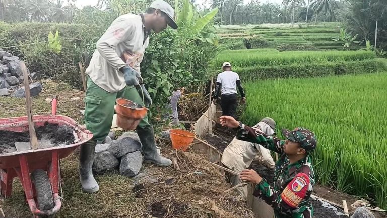 Babinsa Sukorejo Bersama Warga Tani, Kawal Kegiatan Pembangunan Saluran Irigasi Tersier