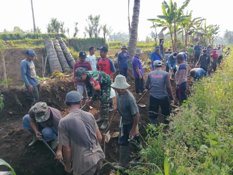 Kerja Bakti Pelebaran Jalan Makam: Wujud Sinergi Babinsa dan Warga Pasrujambe