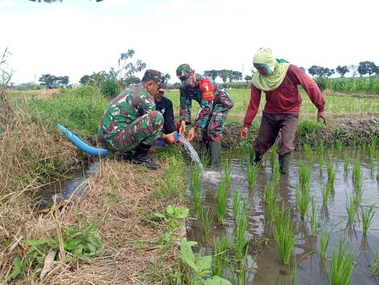 Pendampingan Babinsa Boreng dalam Kegiatan Pompanisasi untuk Optimalkan Pengairan Lahan Padi di Desa Boreng