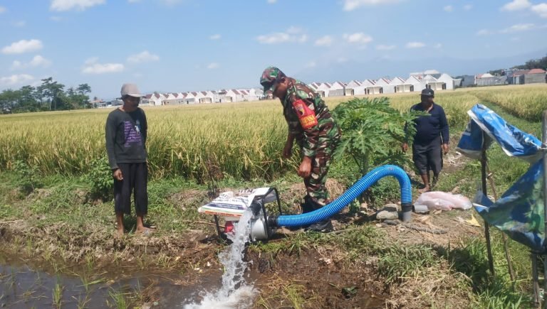 EfektifkanPengairan Lahan, Babinsa Jatiroto Dukung Pemanfaatan Pompanisasi di PoktanBangun Tani