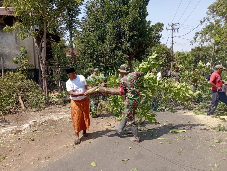 TNI-Polri Bersama Warga Gelar Karya Bakti Pelebaran Jalan di Dusun Curah Lengkong
