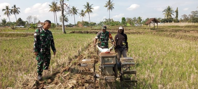 Pendampingan Pengolahan Lahan oleh Babinsa untuk Optimalkan Produktivitas Petani