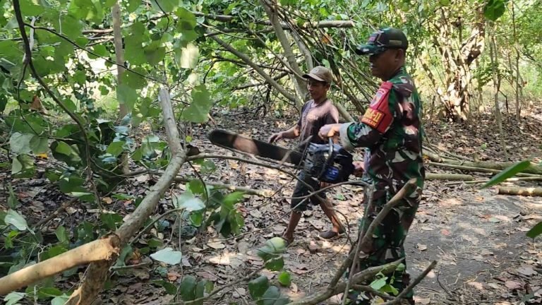 Kerja Bakti Babinsa Wotgalih dan Warga: Pemotongan Dahan Pohon untuk Akses Jalan Lebih Nyaman