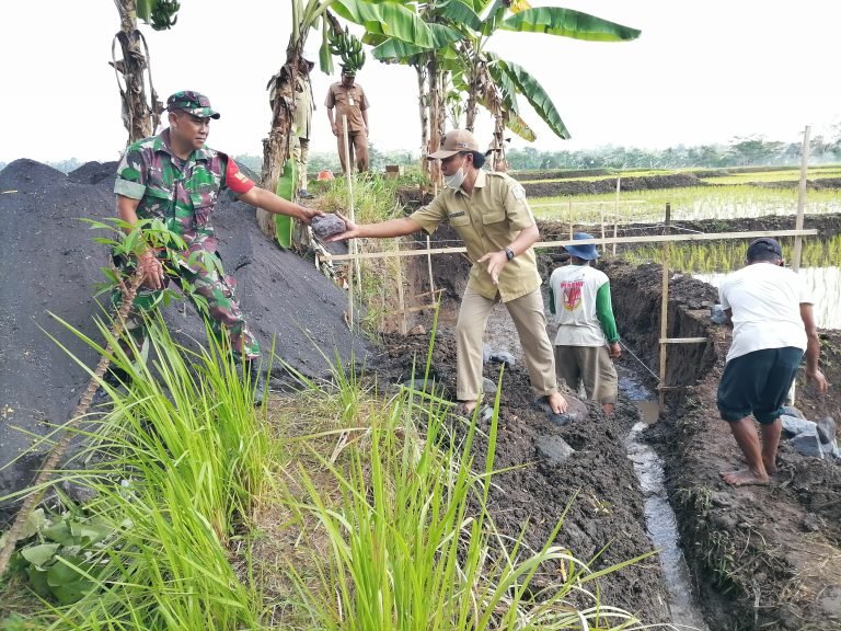 Babinsa Pagowan Bersama Petani Kerja Bakti Pembangunan Irigasi Tersier: Solusi Air untuk Perluasan Lahan Pertanian