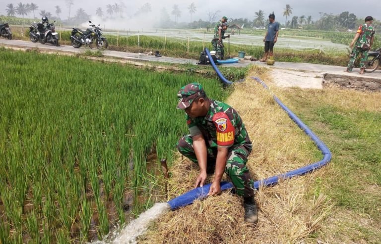 Dukung Peningkatan Pertanian, Babinsa Sarikemuning Lakukan Pendampingan Pengairan di Lahan Petani
