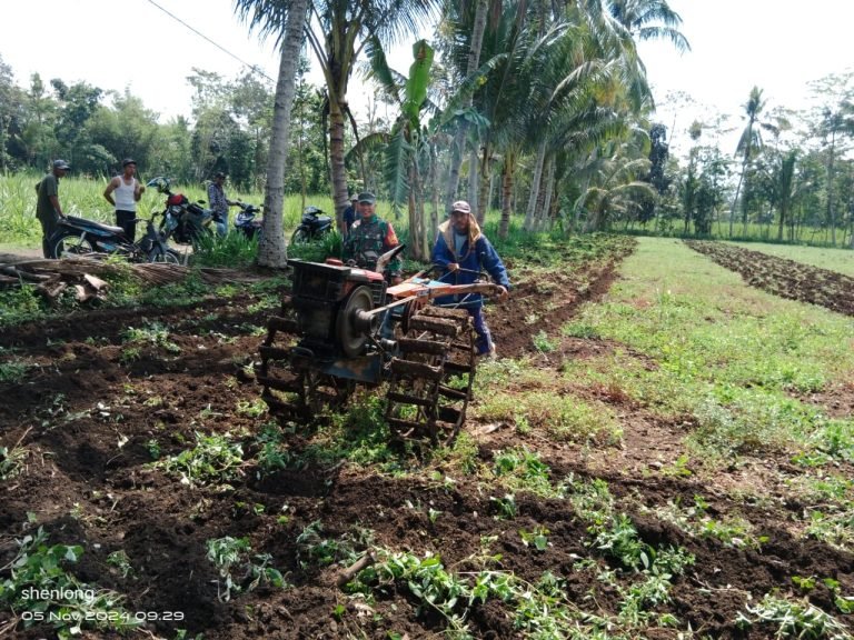 Pendampingan Babinsa Tingkatkan Semangat Petani di Pengolahan Lahan Desa Pejarakan
