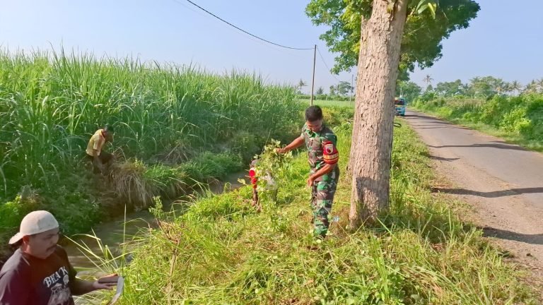 Kerja Bakti Babinsa Bersama Warga: Pererat Kebersamaan dan Wujudkan Kebersihan