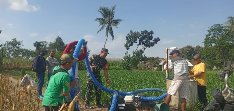 Pendampingan Babinsa Gesang: Pastikan Pengairan Lahan Jagung Berjalan Lancar