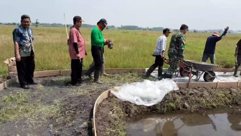 Karya Bakti Pengecoran Jalan di Jatirejo, Bukti Sinergi Babinsa dan Warga