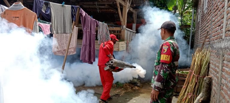 Pendampingan Fogging: Babinsa Dampingi Dinkes Lumajang Antisipasi DBD di Desa Senduro