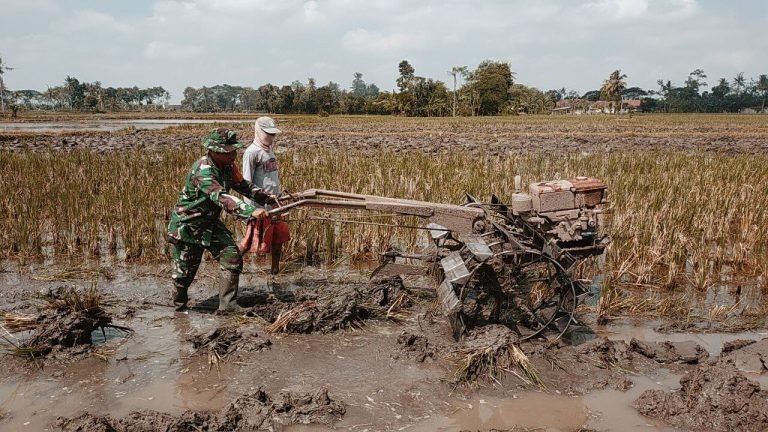 TNI dan Petani Bersatu: Babinsa Bantu Pengolahan Lahan Warga Tani di Randuagung