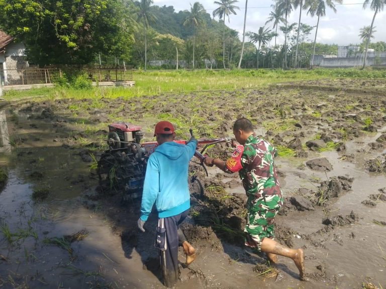 Pendampingan Babinsa Desa Condro, Wujud Dukungan TNI untuk Warga Petani