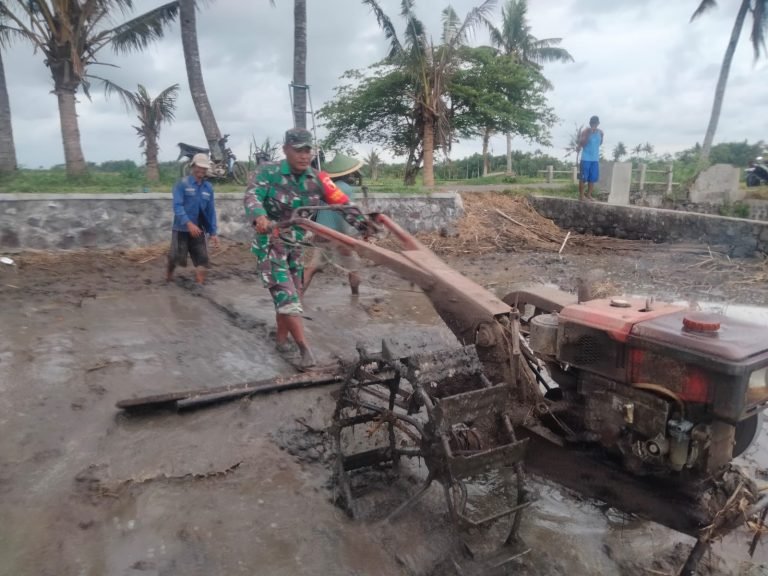 Pendampingan Babinsa: Kolaborasi Yang Kuat untuk Pertanian yang Lebih Maju